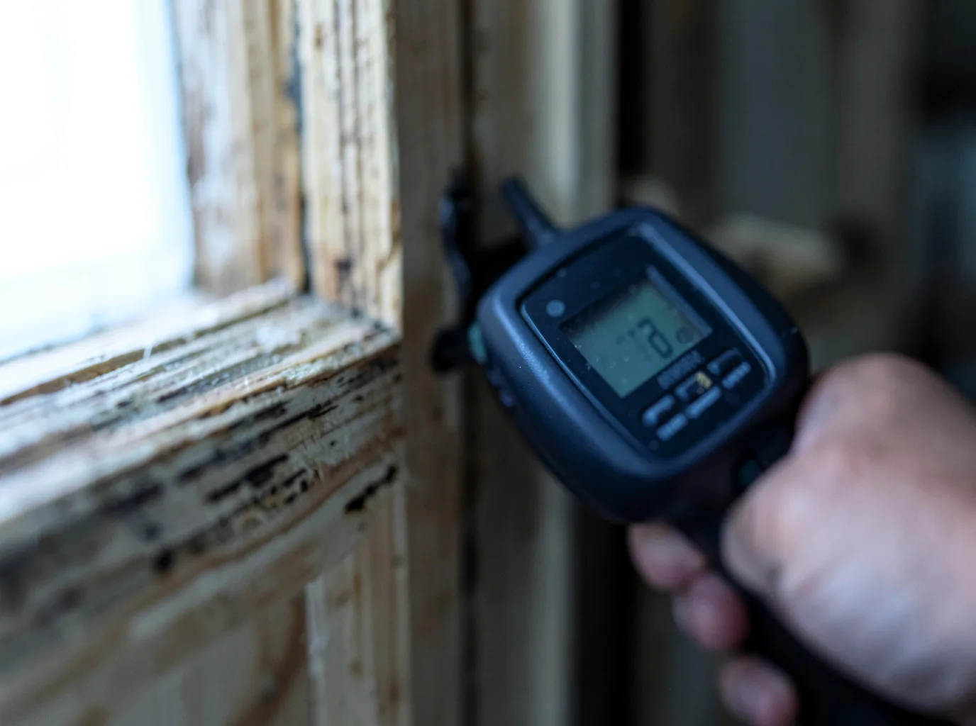 Moisture Inspection And Documentation in Junction City, CA